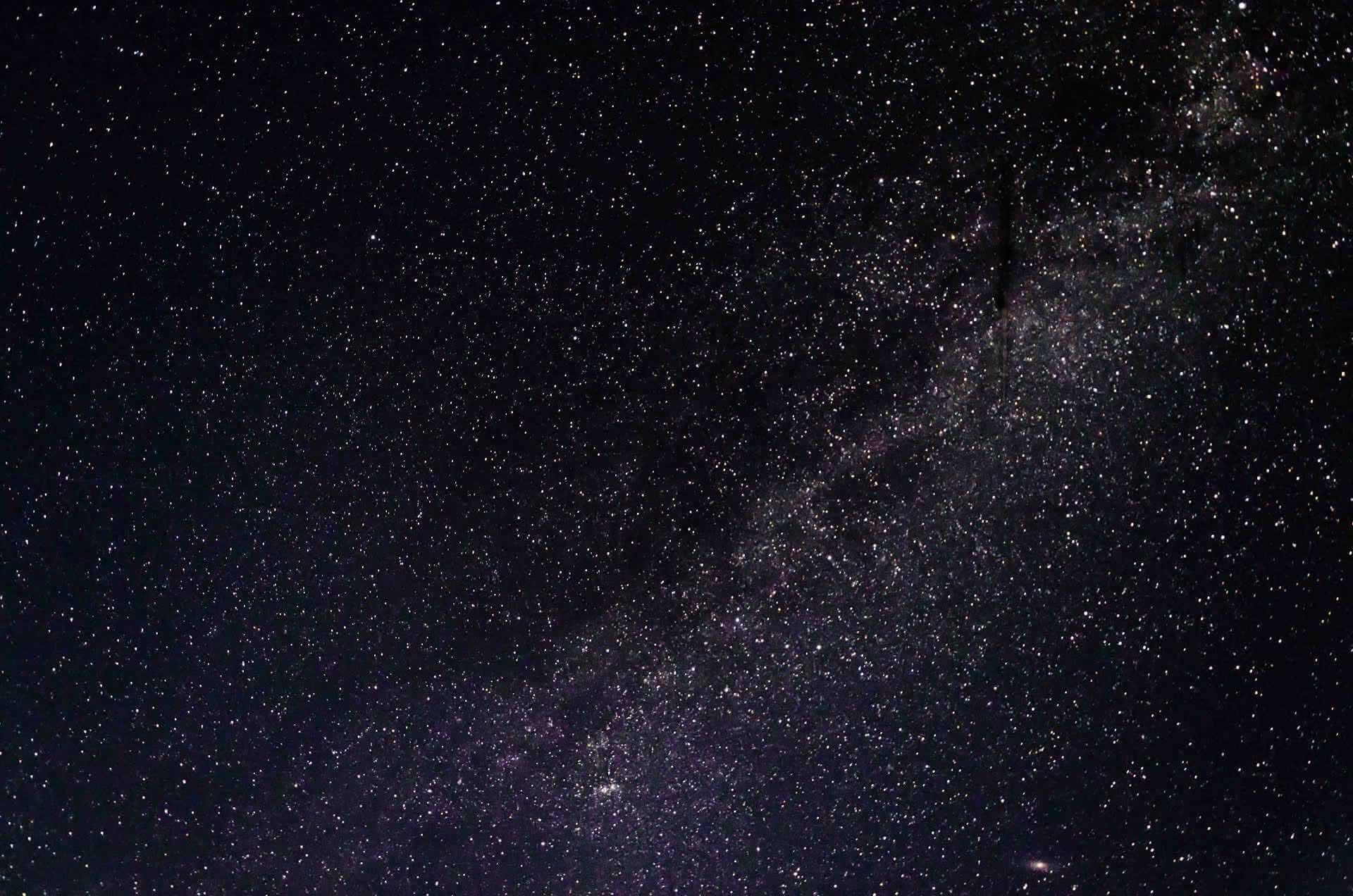 Звезды Звезды