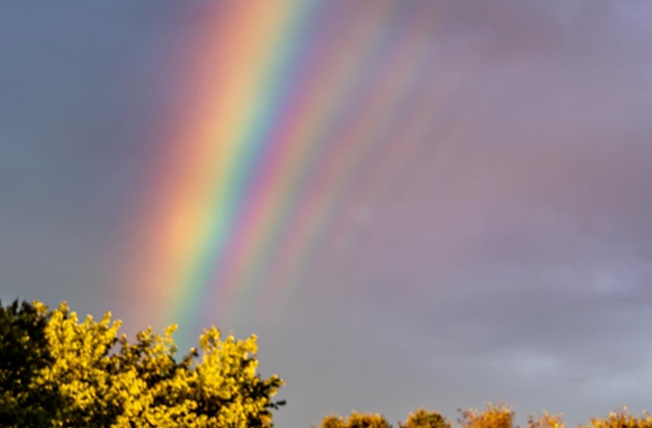 Люди видят цвета по-разному. Обычно люди видят в радуге пять цветов. Фото.
