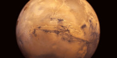 Колонизация Марса по плану SpaceX. Фото.