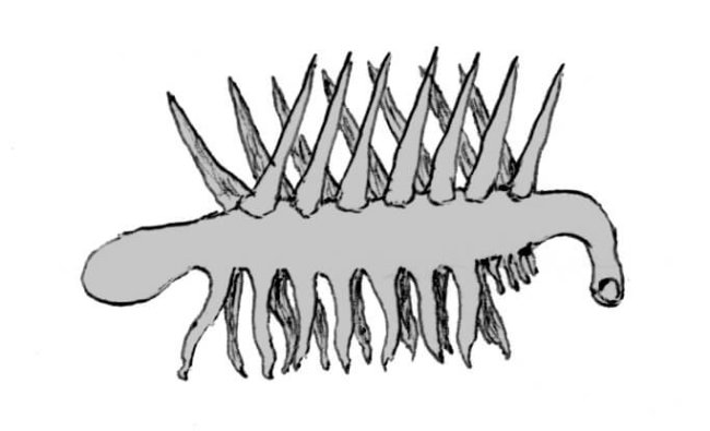 Создан робот по образу жуткого доисторического червяка. Фото.