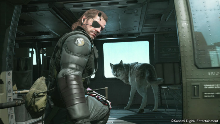 Metal Gear Solid V 10