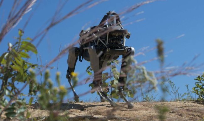 Робот Spot успешно прошёл курс подготовки морских пехотинцев. Фото.