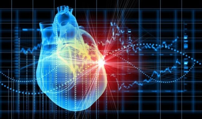Учёные разработали «заплатку» для повреждённого сердца. Фото.