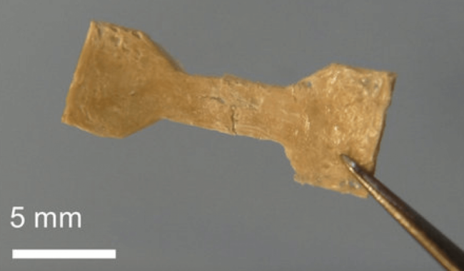 Учёные создали самовосстанавливающийся материал. Учёные создали самовосстанавливающийся материал. Фото.