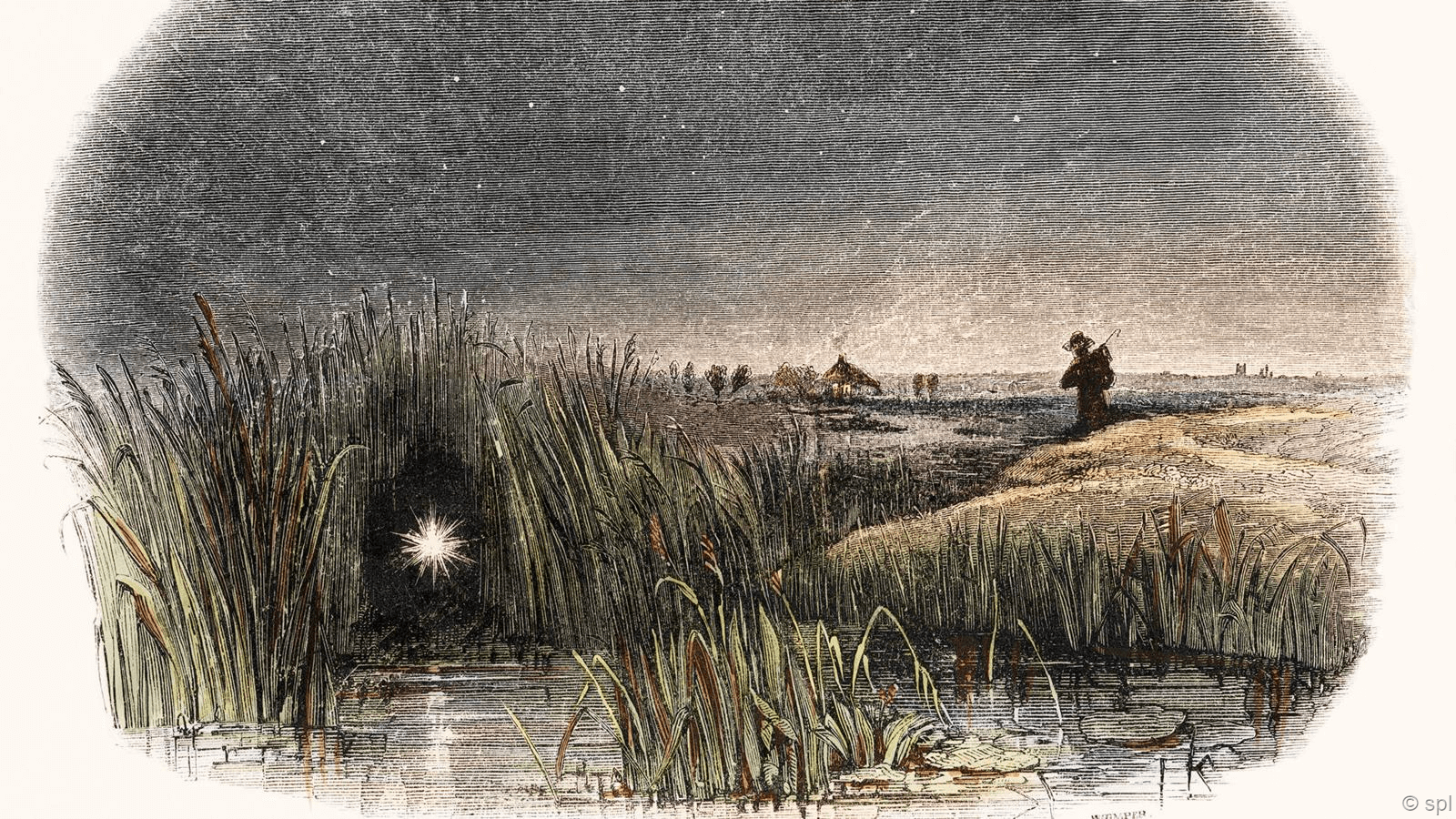 Блуждающий огонек