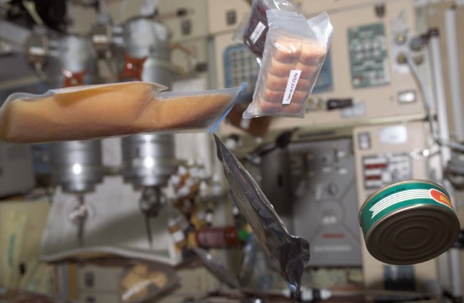 NASA хочет использовать бактерии в качестве источника энергии в космосе. Фото.