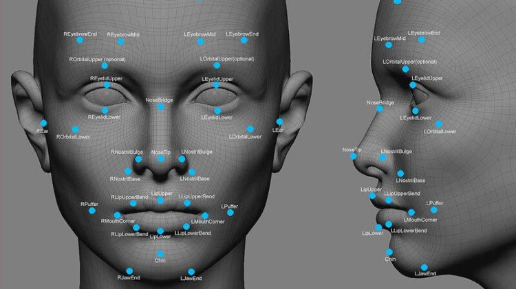 Японские полицейские начнут делать 3D-фотографии подозреваемых. Японские полицейские начнут делать 3D-фотографии подозреваемых. Фото.