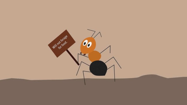 Как Человек-муравей мог бы управлять своими муравьями? Фото.