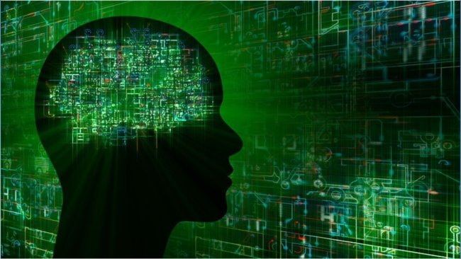 DARPA хочет создать продвинутый нейроинтерфейс «мозг — компьютер». Фото.