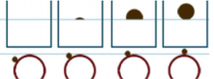 Что означает Линия горизонта. Положение Солнца на горизонте в зависимости от времени дня. Что означает Линия горизонта. Положение Солнца на горизонте в зависимости от времени дня. Фото.