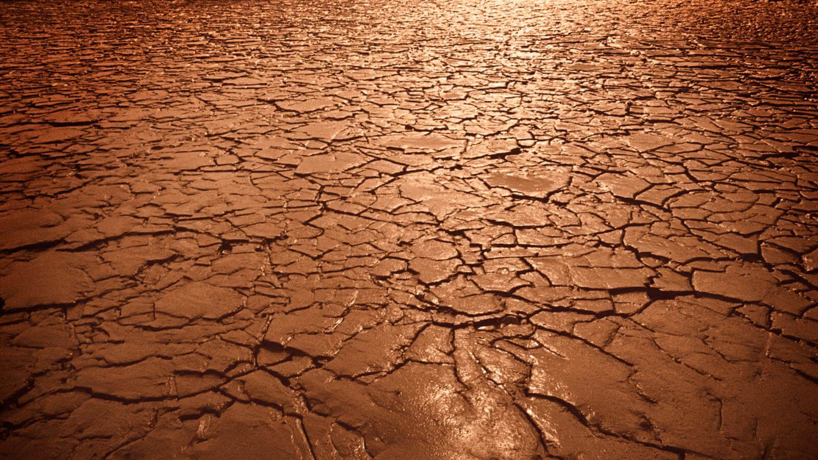 В таких условиях приходилось жить народам региона. Фото.