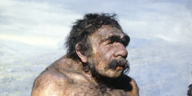 ДНК древних людей проливает свет на появление неандертальцев. Фото.