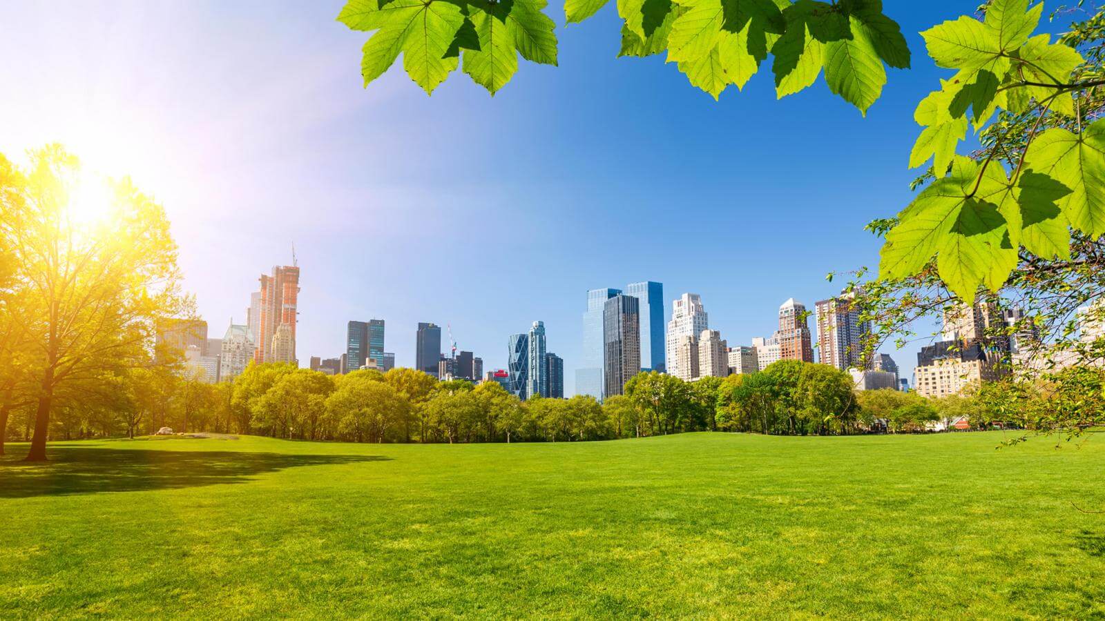 Когда прилетаешь издалека, новое место не всегда такое радужное. Фото.