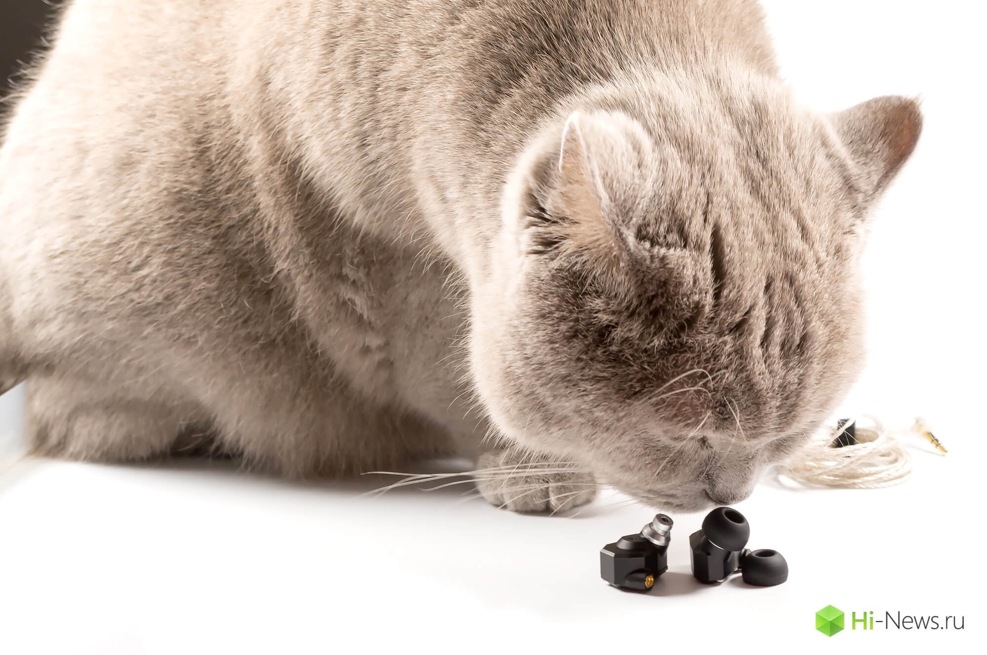 10 Booblik 10 Booblik