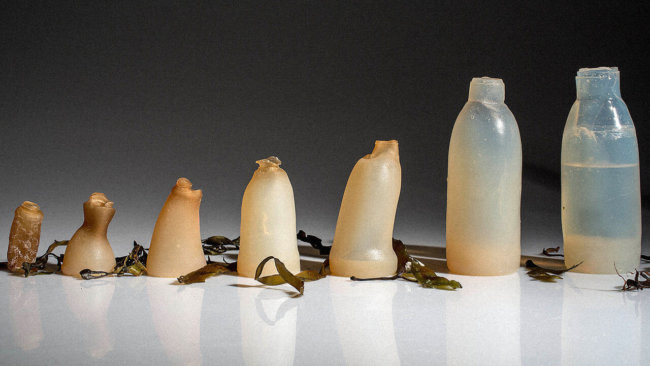 Бутылка из водорослей может решить одну из проблем экологии. Фото.