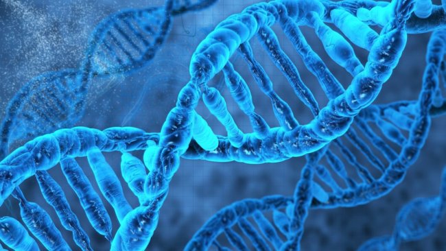#видео | Инструкция, как получить ДНК в домашних условиях. Фото.