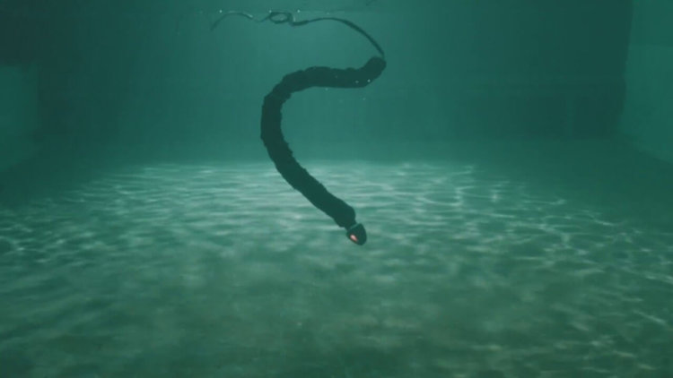 eelume-is-a-snake-like-subsea-in