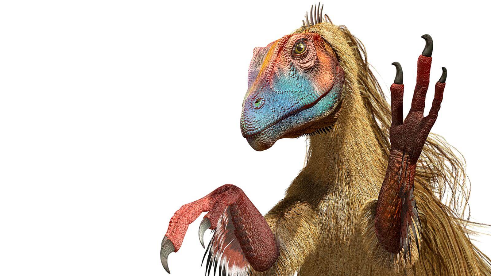 Велоцираптор. Фото.