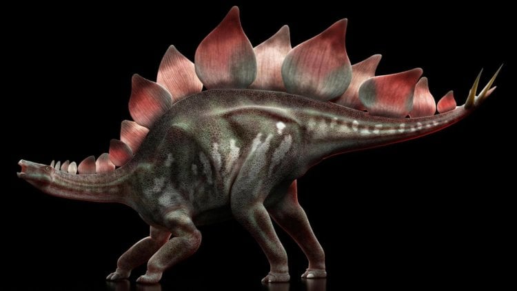 Стегозавр — динозавр с двумя мозгами. Стегозавр. Фото.
