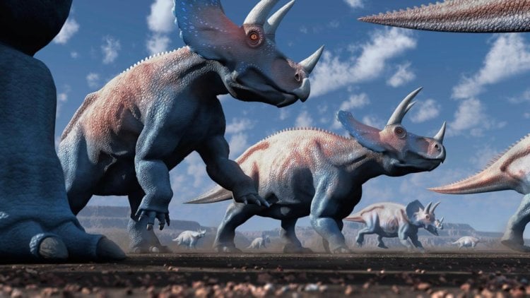 Трицератопс — самый известный динозавр. Трицератопс. Фото.