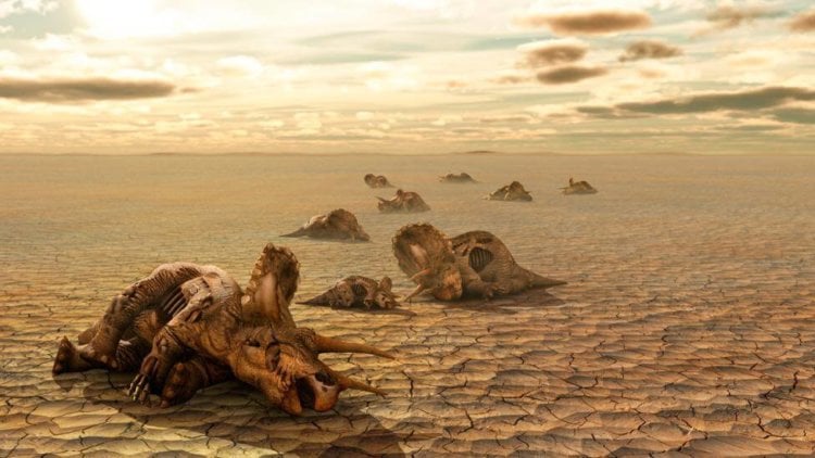 Последствия падения астероида. Дизонавры поги бли, но гнекоторые млекопитающие выжили. Фото.