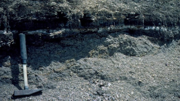 Последствия падения астероида. Анализ почвы и изучение окаменелостей проливают свет на то, что было до и после. Фото.