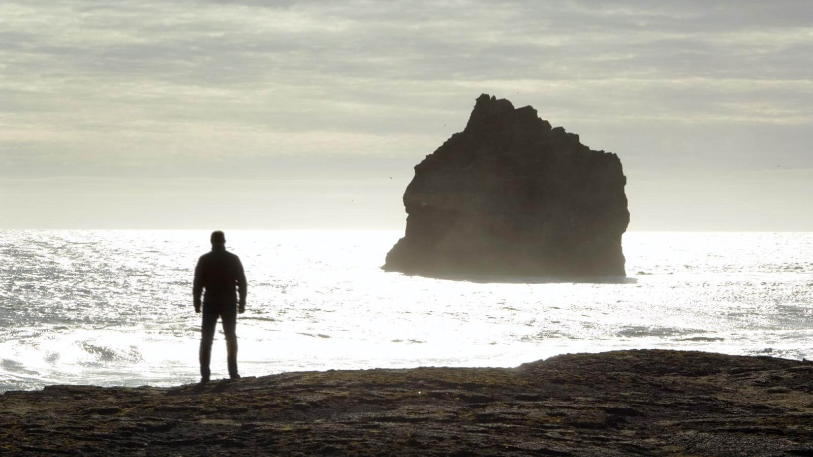 Возможность возрождения или фантастическая выдумка? Фото.