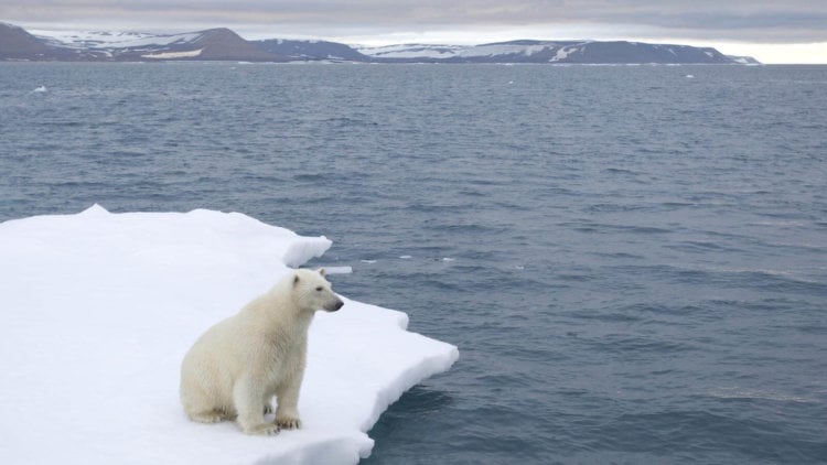 Озоновый страх. Таяние ледников, глобальное потепление… Что же останется после нас? Фото.