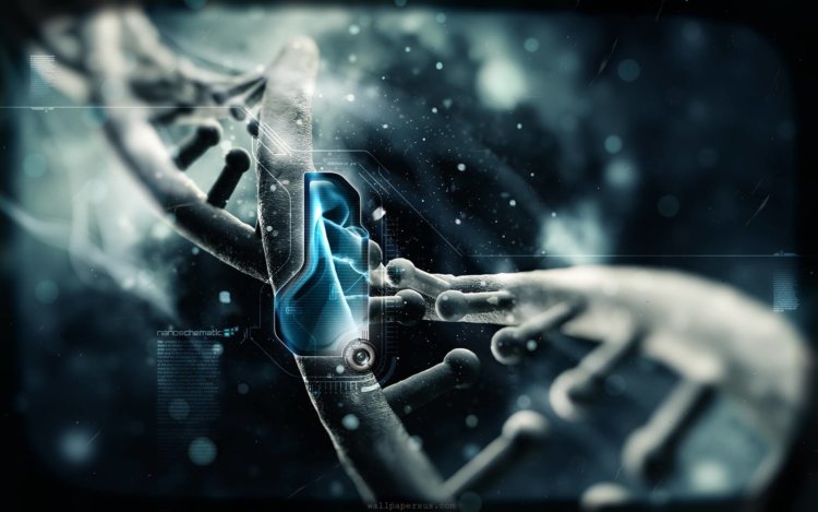 Готов ли мир к созданию искусственной жизни? Можно ли программировать ДНК? Фото.