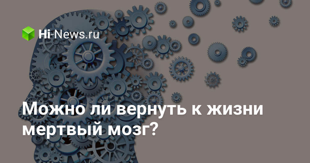 если у человека умирает мозг но бьется сердце. Смотреть фото если у человека умирает мозг но бьется сердце. Смотреть картинку если у человека умирает мозг но бьется сердце. Картинка про если у человека умирает мозг но бьется сердце. Фото если у человека умирает мозг но бьется сердце если у человека умирает мозг но бьется сердце. Смотреть фото если у человека умирает мозг но бьется сердце. Смотреть картинку если у человека умирает мозг но бьется сердце. Картинка про если у человека умирает мозг но бьется сердце. Фото если у человека умирает мозг но бьется сердце