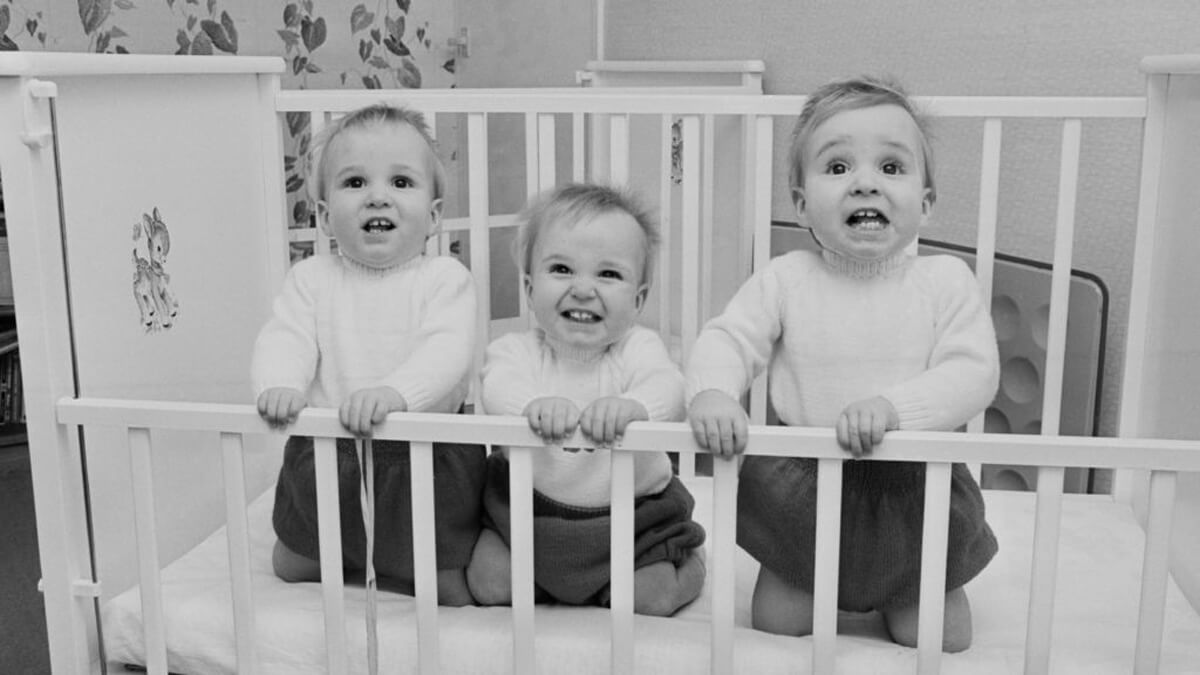 Куда подевались все тройняшки? Куда подевались все тройняшки?