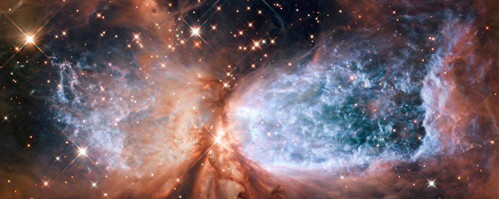 Может ли жизнь появиться не на планете, а… в космическом пространстве? Возможна ли жизнь в космическом пространстве? Фото.