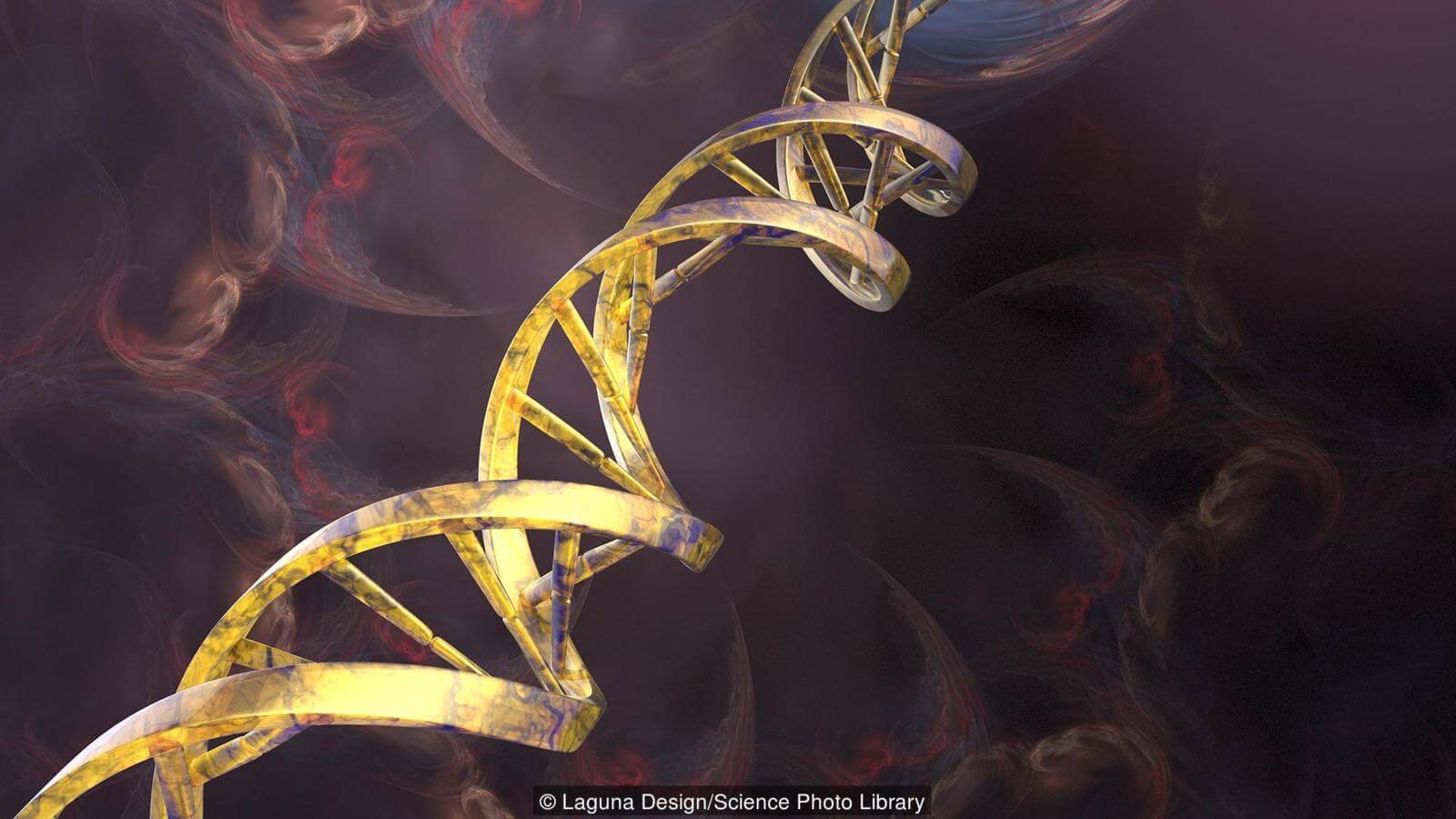 На чем основана жизнь. Полимерные цепочки из молекул углерода. Фото.