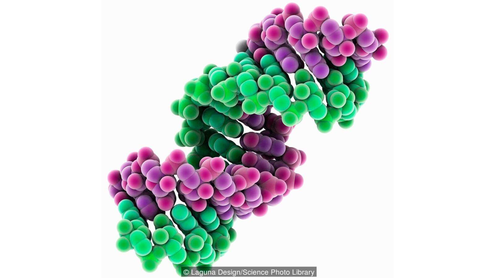 На чем основана жизнь. Углерод, вода, аминокислоты…. Это все, что необходимо для возникновения жизни? Фото.