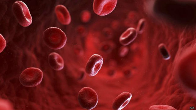 Невероятные факты о человеческой крови. Фото.