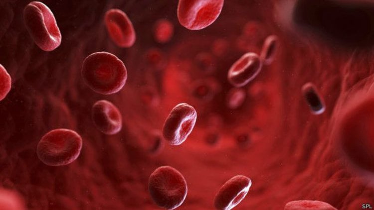 Невероятные факты о человеческой крови