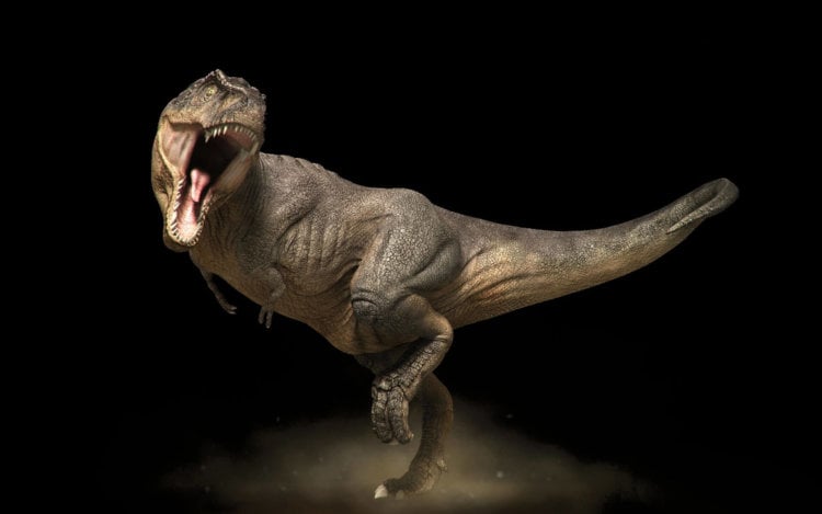 10 распространенных заблуждений о динозаврах. Фото.