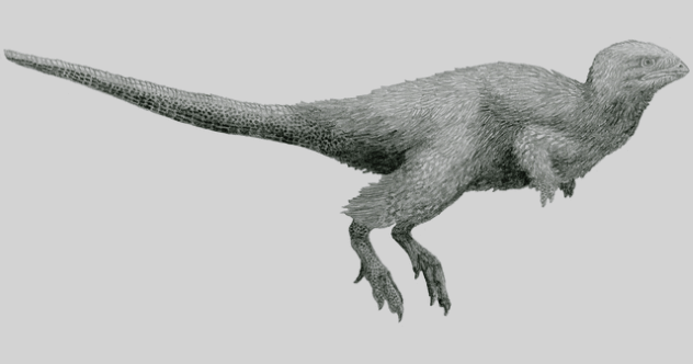 10 распространенных заблуждений о динозаврах. Динозавры были покрыты чешуей. Фото.