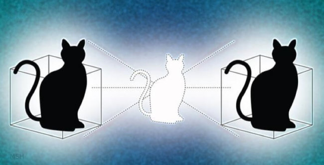 Новое состояние кота Шредингера позволяет находиться сразу в двух местах одновременно. Фото.