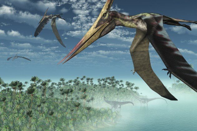 10 распространенных заблуждений о динозаврах. Птерозавры были динозаврами. Фото.