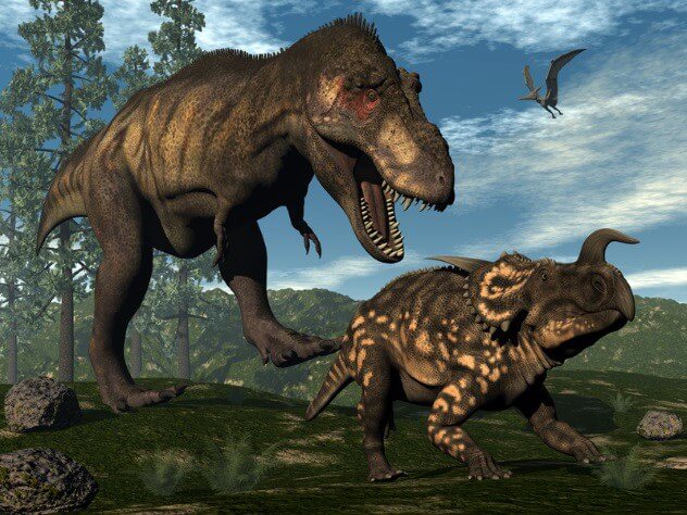 10 распространенных заблуждений о динозаврах. У T. rex были бесполезные ручки. Фото.