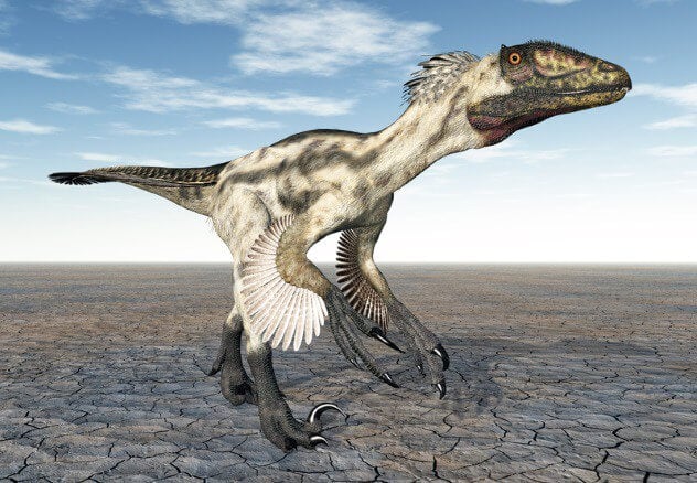 10 распространенных заблуждений о динозаврах. Велоцирапторы были большими динозаврами. Фото.