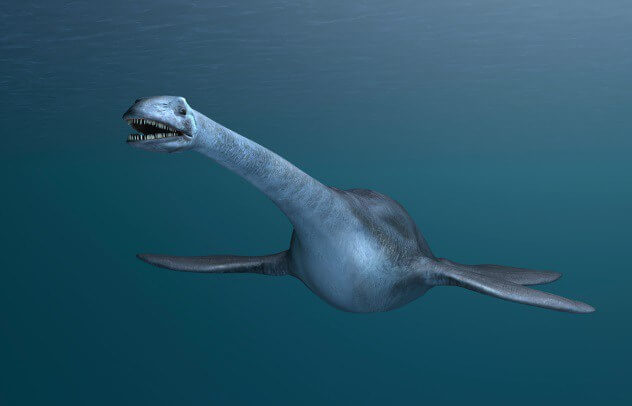 10 распространенных заблуждений о динозаврах. Плезиозавры — тоже динозавры. Фото.