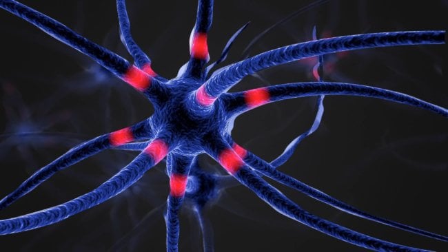 Учёные нашли новый способ борьбы с нейродегенеративными заболеваниями. Фото.