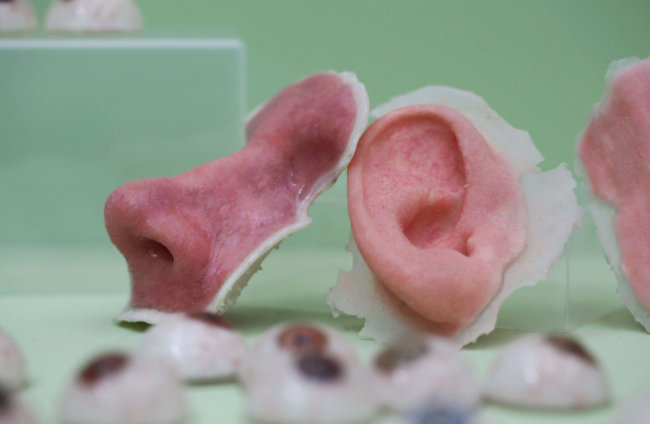 3D-печать органов прошла испытания в условиях микрогравитации. Фото.