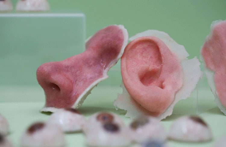 3D-печать органов прошла испытания в условиях микрогравитации