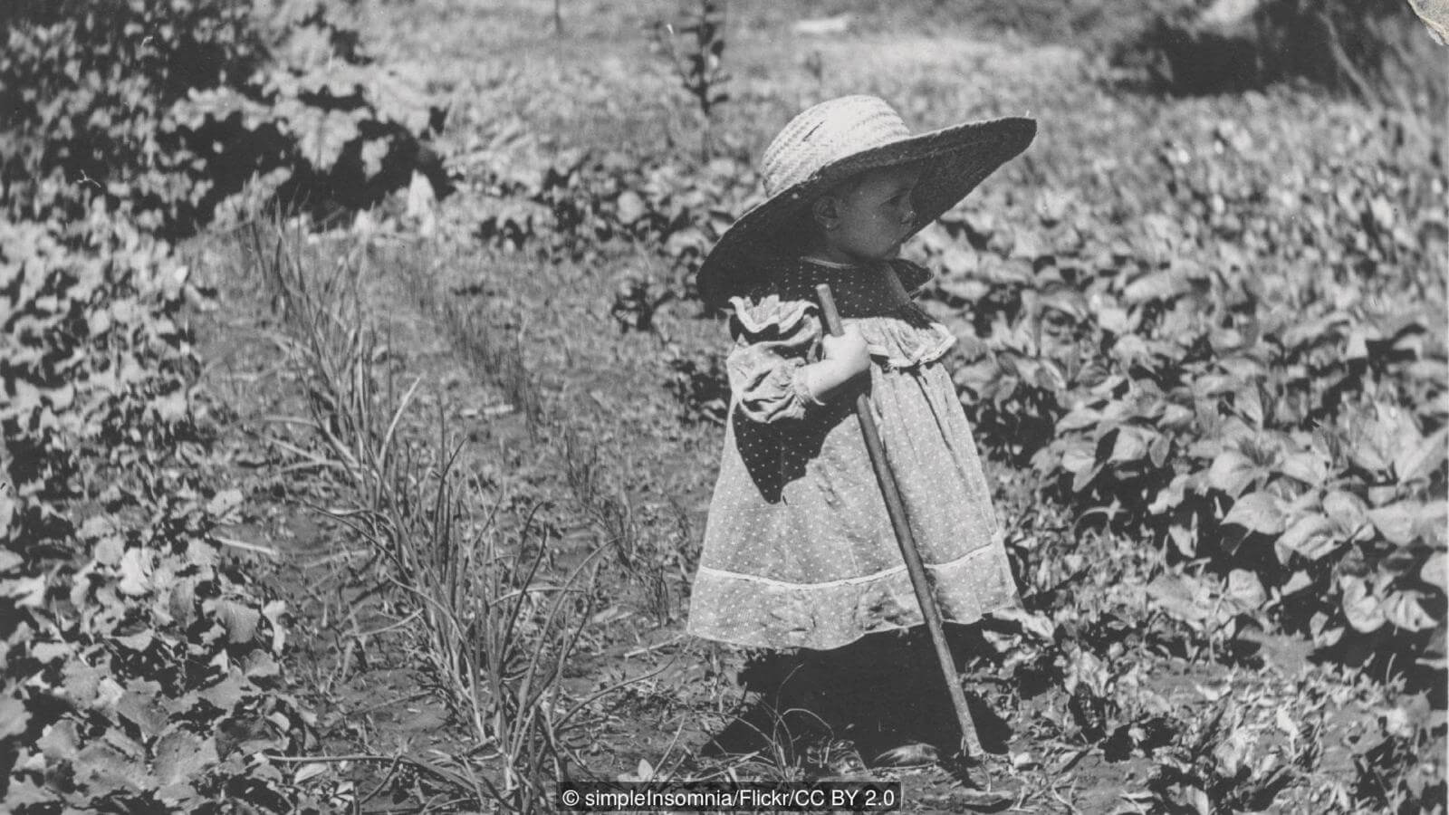 Почему мы не помним себя в детстве? В среднем мы помним себя с возраста 3,5 лет. Фото.