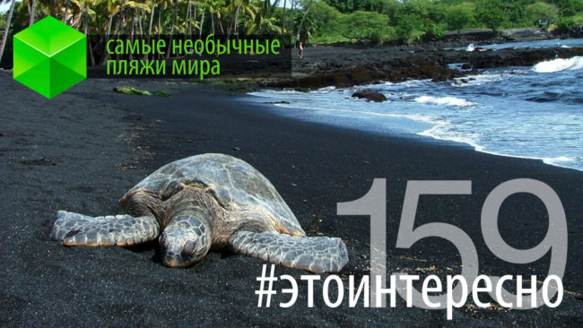 #этоинтересно | Самые необычные пляжи. Фото.