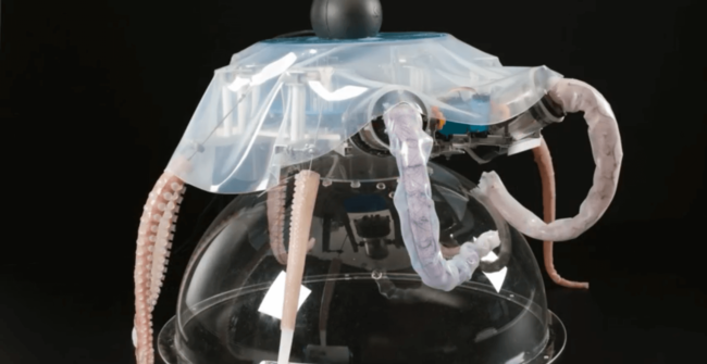 Разработан мягкотелый робот-осьминог. Фото.