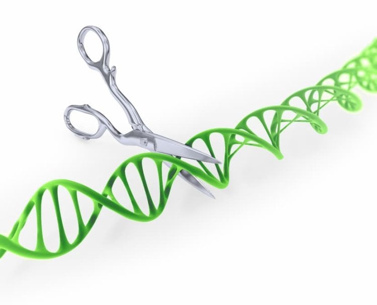 CRISPR-Cas9 — генная инженерия. Возможно, очень скоро мы сможем совершенствовать спортивные достижения за счет редактирования генов. Фото.